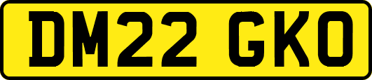 DM22GKO