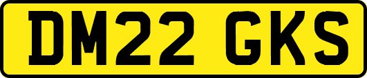 DM22GKS
