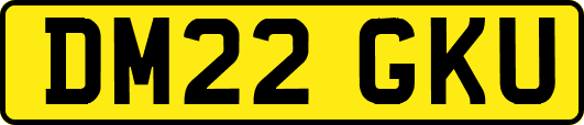 DM22GKU
