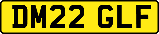 DM22GLF