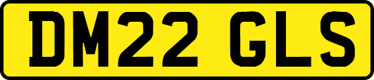 DM22GLS