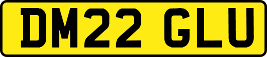 DM22GLU