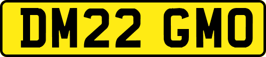 DM22GMO