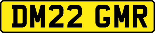 DM22GMR