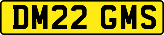 DM22GMS