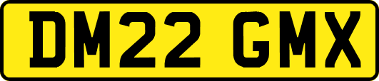 DM22GMX