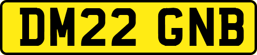 DM22GNB