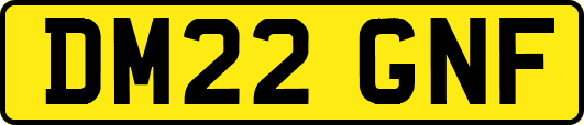 DM22GNF