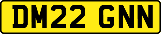 DM22GNN
