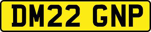 DM22GNP