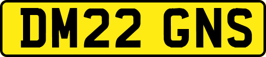 DM22GNS