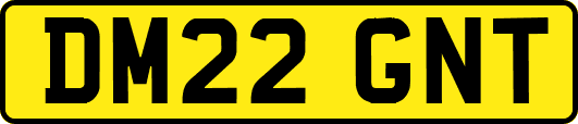 DM22GNT