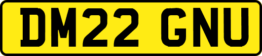 DM22GNU