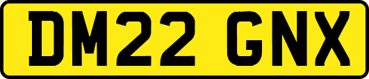 DM22GNX