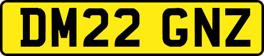 DM22GNZ