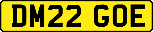 DM22GOE