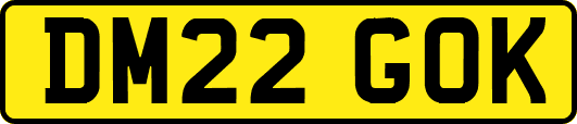 DM22GOK