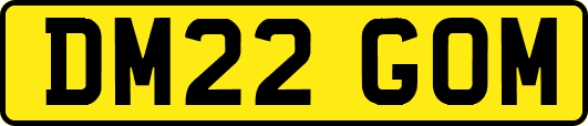 DM22GOM