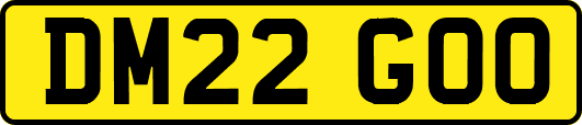 DM22GOO