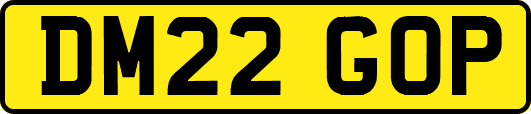DM22GOP