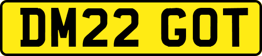 DM22GOT