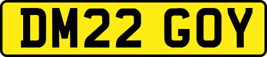 DM22GOY