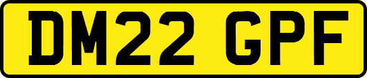 DM22GPF