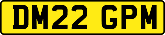 DM22GPM