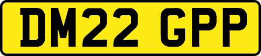 DM22GPP