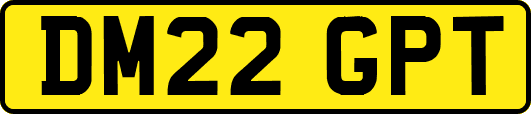 DM22GPT