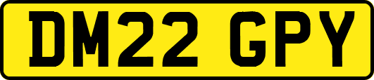 DM22GPY