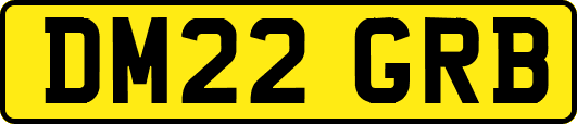 DM22GRB
