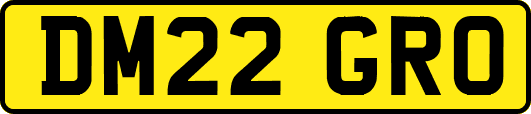 DM22GRO