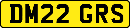 DM22GRS