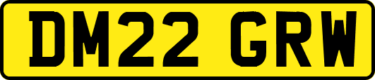 DM22GRW