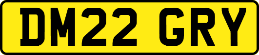 DM22GRY