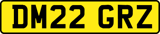 DM22GRZ