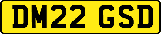 DM22GSD