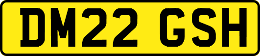 DM22GSH