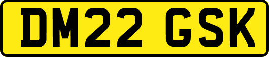 DM22GSK