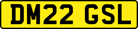 DM22GSL