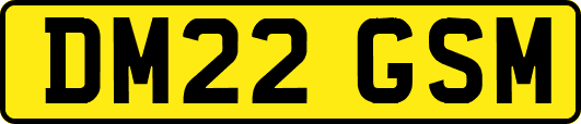 DM22GSM
