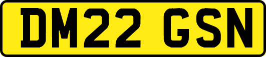 DM22GSN