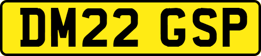 DM22GSP