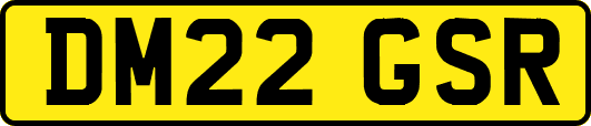 DM22GSR