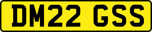 DM22GSS