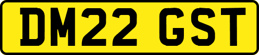 DM22GST