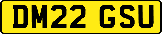 DM22GSU