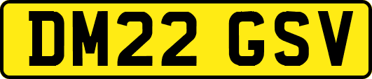 DM22GSV