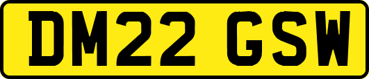 DM22GSW